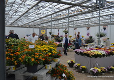 The varieties of Brandkamp.